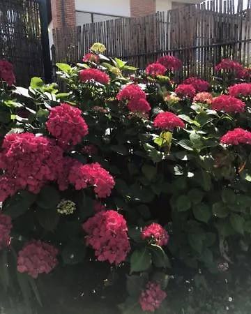 La Casuca Ribadesella